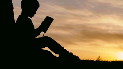 A young child reading a book in the sunlight