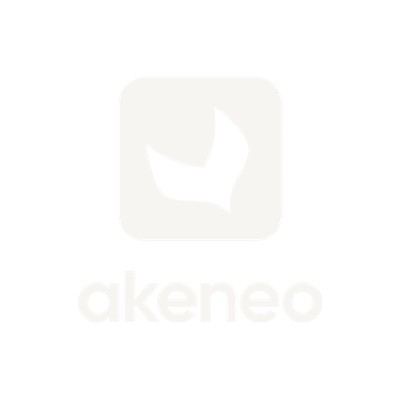Akeneo logo