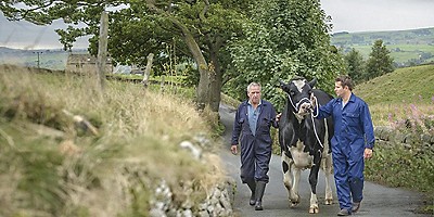 From dairy to data: Arla builds smarter analytics with Merkle
