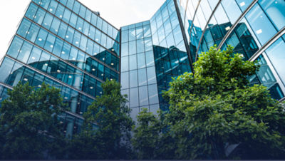 exterior of glass office building with trees outside