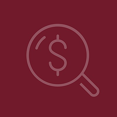 Magnifying glass with a dollar sign inside