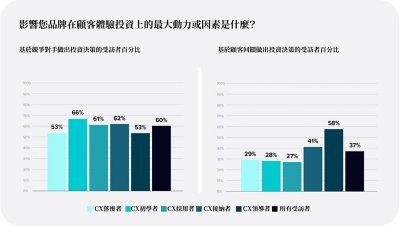 What are the biggest drivers or factors that influence your organization's customer experience investments?