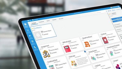 A tablet displaying a software interface with packages, developers, and business objects, showcasing the 'ChuckNorris' package details.