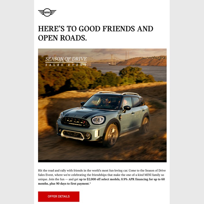 Example Mini ad