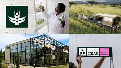 CGIAR brand visuals featuring scientific research, sustainable agriculture, fieldwork, and international partnership messaging.