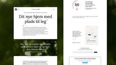 A Danish-language real estate or housing information webpage is displayed against a blurred green nature background. 