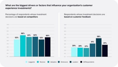 What are the biggest drivers or factors that influence your organization's customer experience investments?